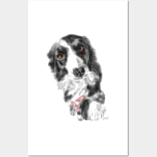 I Want Your Paw Border Collie Posters and Art